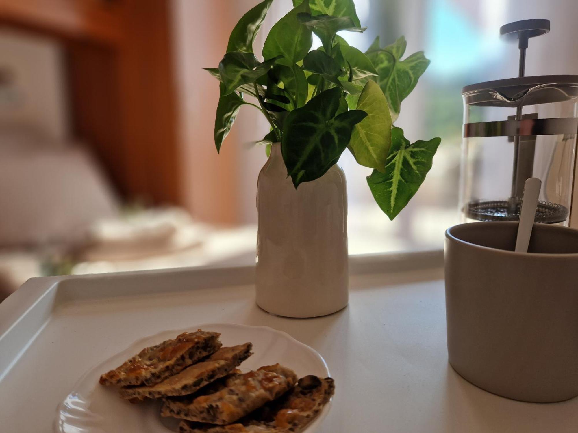 House Olive Garden Strunjan Appartement Buitenkant foto
