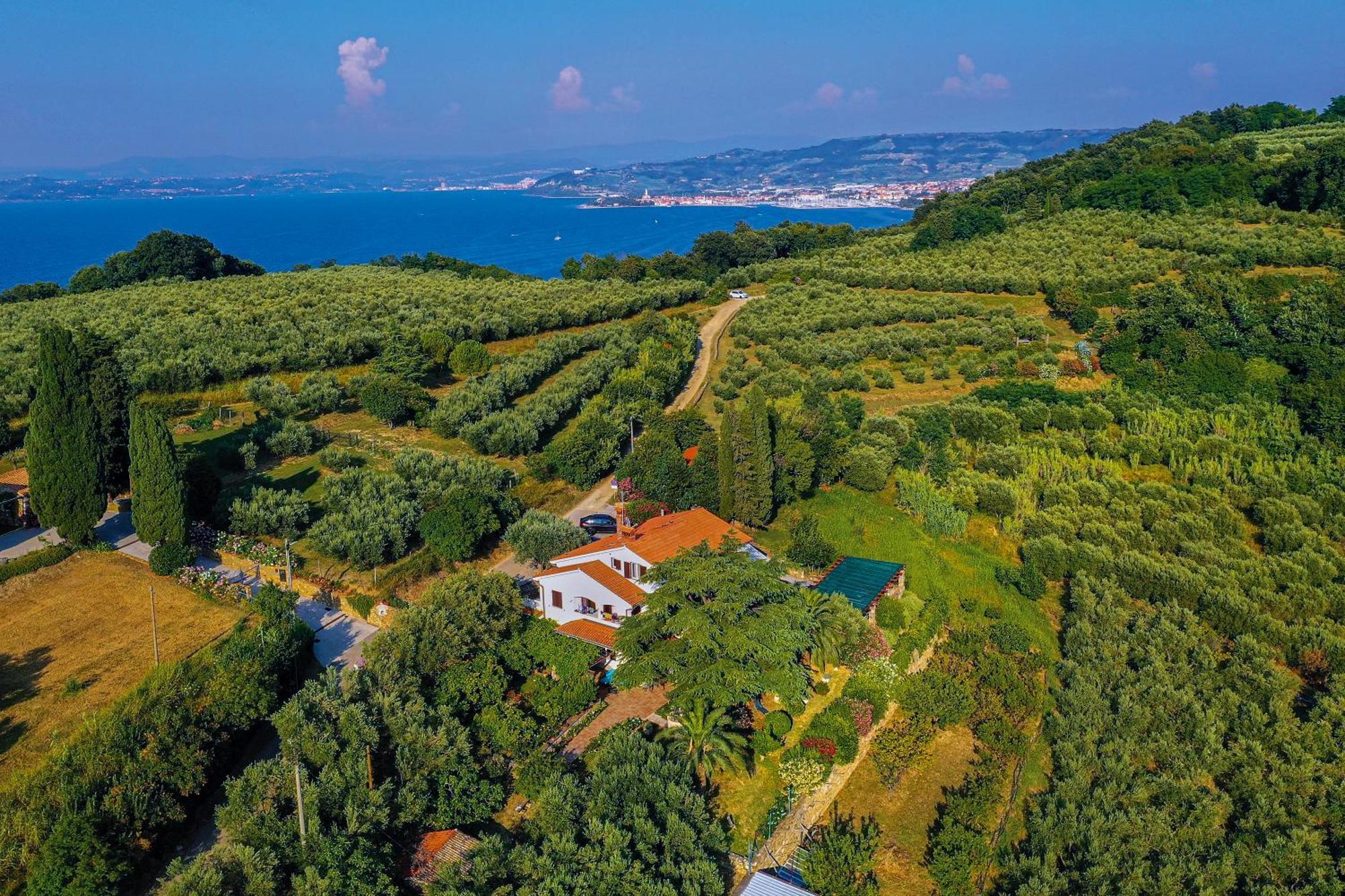 House Olive Garden Strunjan Appartement Buitenkant foto